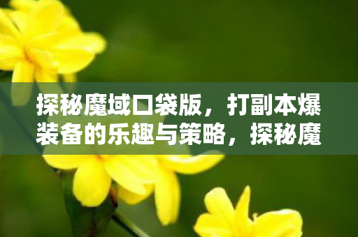 探秘魔域口袋版，打副本爆装备的乐趣与策略，探秘魔域口袋版，打副本爆装备的乐趣与策略