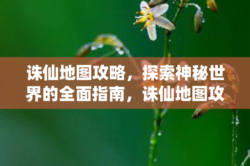 探索神秘世界的全面指南图片