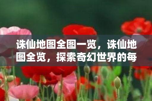 探索奇幻世界的每一个角落图片