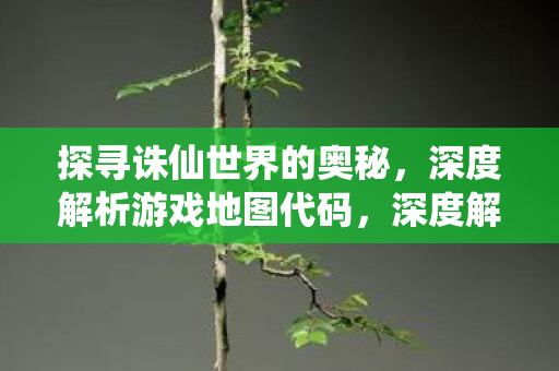 探寻诛仙世界的奥秘,深度解析游戏地图代码,深度解析,探寻诛仙世界的地图代码奥秘 探寻诛仙世界的奥秘,深度解析游戏地图代码,深度解析,探寻诛仙世界的地图代码奥秘