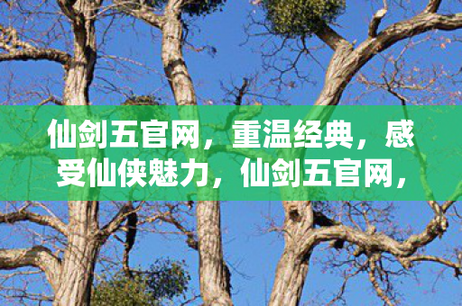仙剑五官网,重温经典,感受仙侠魅力,仙剑五官网,重温经典仙侠之旅 仙剑五官网,重温经典,感受仙侠魅力,仙剑五官网,重温经典仙侠之旅