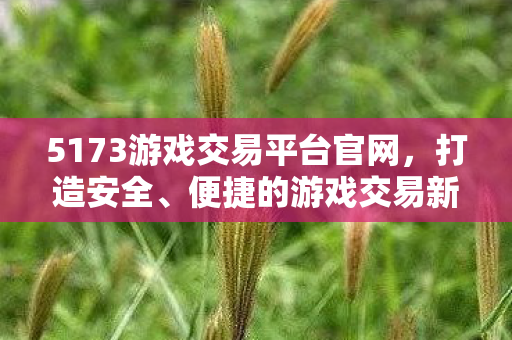 打造安全便捷的游戏交易新体验图片