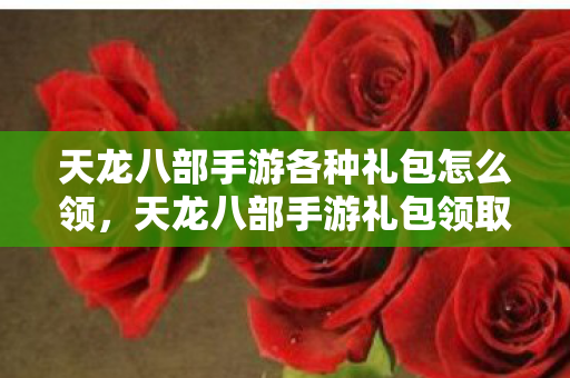 天龙八部手游各种礼包怎么领,天龙八部手游礼包领取攻略 天龙八部手游各种礼包怎么领,天龙八部手游礼包领取攻略