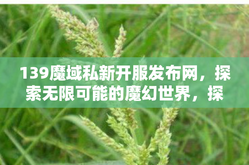 139魔域私新开服发布网,探索无限可能的魔幻世界,探索无限可能,139魔域私新开服发布网,魔幻世界等你来战 139魔域私新开服发布网,探索无限可能的魔幻世界,探索无限可能,139魔域私新开服发布网,魔幻世界等你来战