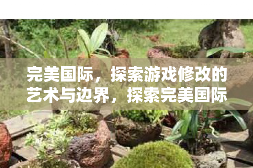 完美国际,探索游戏修改的艺术与边界,探索完美国际游戏修改的艺术与边界 完美国际,探索游戏修改的艺术与边界,探索完美国际游戏修改的艺术与边界