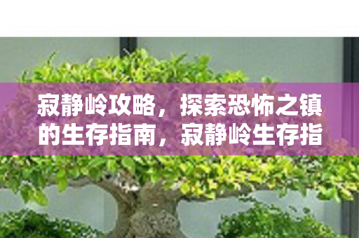 寂静岭攻略,探索恐怖之镇的生存指南,寂静岭生存指南,探索恐怖之镇的攻略 寂静岭攻略,探索恐怖之镇的生存指南,寂静岭生存指南,探索恐怖之镇的攻略