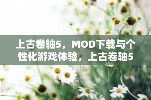 上古卷轴5,MOD下载与个性化游戏体验,上古卷轴5,MOD下载打造个性化游戏体验 上古卷轴5,MOD下载与个性化游戏体验,上古卷轴5,MOD下载打造个性化游戏体验