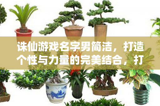 打造个性与力量的完美结合图片