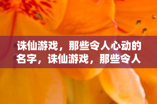 那些令人心动的名字图片