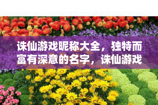 独特而富有深意的名字图片