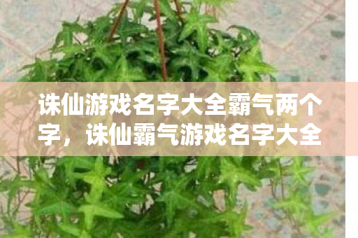 诛仙游戏名字大全霸气两个字图片