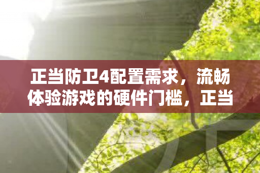正当防卫4配置需求，流畅体验游戏的硬件门槛，正当防卫4，流畅体验游戏的硬件门槛