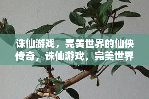 完美世界的仙侠传奇之旅图片
