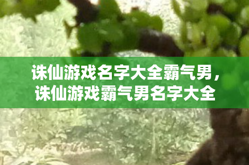 诛仙游戏名字大全霸气男图片