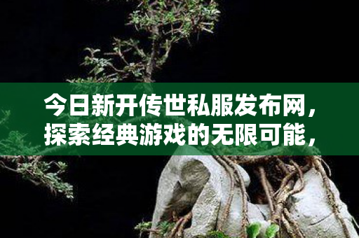 今日新开传世私服发布网,探索经典游戏的无限可能,探索经典,今日新开传世私服发布网 今日新开传世私服发布网,探索经典游戏的无限可能,探索经典,今日新开传世私服发布网
