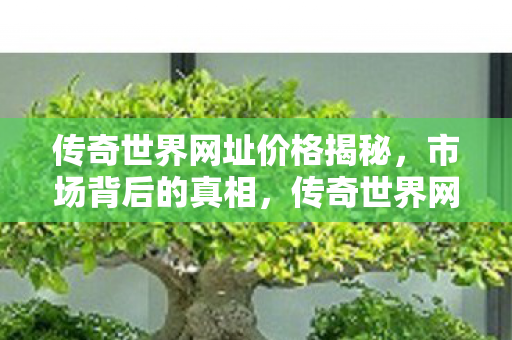 传奇世界网址价格揭秘,市场背后的真相,传奇世界网址价格背后的市场真相 传奇世界网址价格揭秘,市场背后的真相,传奇世界网址价格背后的市场真相