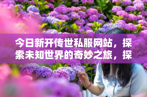全新传世私服网站开启奇妙之旅图片