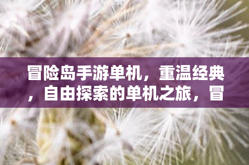 自由探索的单机之旅图片