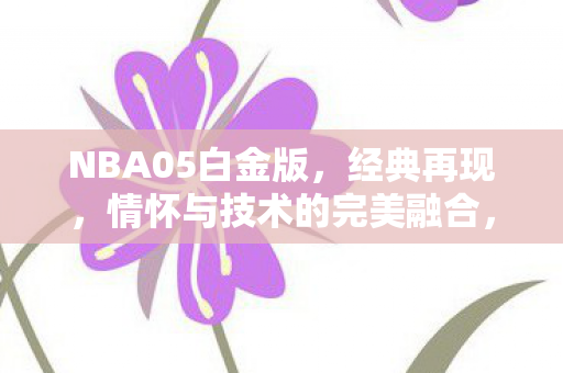 NBA05白金版,经典再现,情怀与技术的完美融合,NBA05白金版,经典再现,情怀与技术的完美融合 NBA05白金版,经典再现,情怀与技术的完美融合,NBA05白金版,经典再现,情怀与技术的完美融合