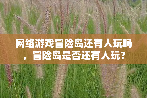 网络游戏冒险岛还有人玩吗图片