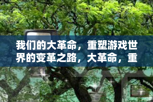 我们的大革命,重塑游戏世界的变革之路,大革命,重塑游戏世界的变革之路 我们的大革命,重塑游戏世界的变革之路,大革命,重塑游戏世界的变革之路