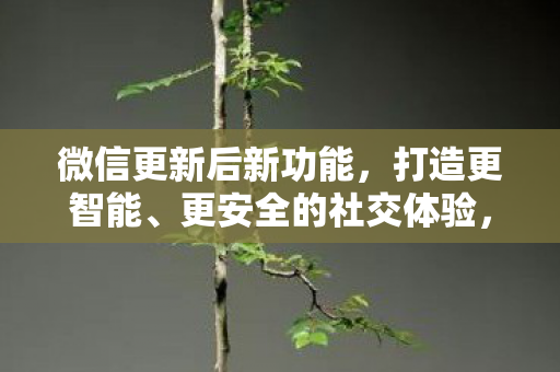 微信更新后新功能,打造更智能、更安全的社交体验,微信更新,打造更智能、更安全的社交体验 微信更新后新功能,打造更智能、更安全的社交体验,微信更新,打造更智能、更安全的社交体验