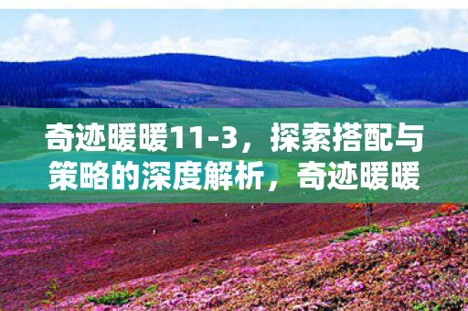 奇迹暖暖11-3,探索搭配与策略的深度解析,奇迹暖暖11-3,深度解析搭配与策略 奇迹暖暖11-3,探索搭配与策略的深度解析,奇迹暖暖11-3,深度解析搭配与策略