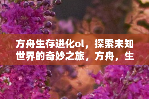 方舟生存进化ol，探索未知世界的奇妙之旅，方舟，生存进化OL开启探索未知世界的奇妙冒险之旅