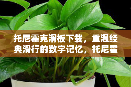 托尼霍克滑板下载,重温经典滑行的数字记忆,托尼霍克滑板下载,重温经典滑行的数字记忆 托尼霍克滑板下载,重温经典滑行的数字记忆,托尼霍克滑板下载,重温经典滑行的数字记忆