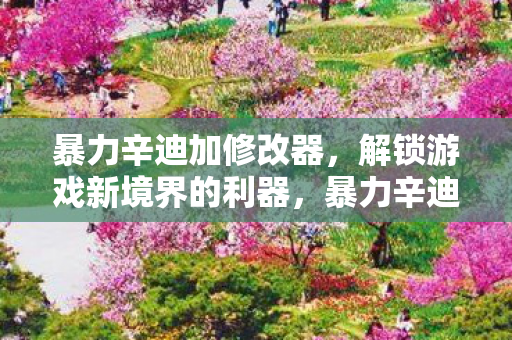 暴力辛迪加修改器,解锁游戏新境界的利器,暴力辛迪加修改器,解锁游戏新境界的利器 暴力辛迪加修改器,解锁游戏新境界的利器,暴力辛迪加修改器,解锁游戏新境界的利器