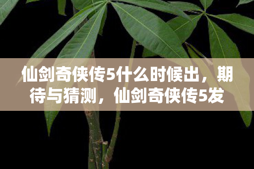 仙剑奇侠传5什么时候出,期待与猜测,仙剑奇侠传5发布时间曝光,粉丝期待已久! 仙剑奇侠传5什么时候出,期待与猜测,仙剑奇侠传5发布时间曝光,粉丝期待已久!