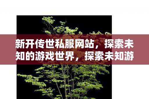 新开传世私服网站等你来战图片