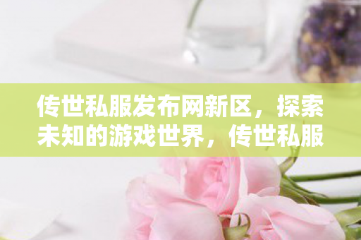传世私服发布网新区图片