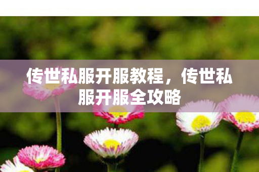 传世私服开服全攻略图片