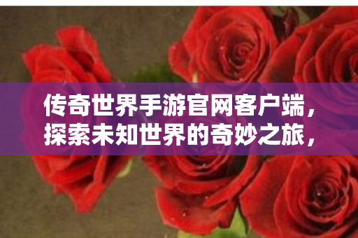 传奇世界手游官网客户端,探索未知世界的奇妙之旅,探索未知世界的奇妙之旅,传奇世界手游官网客户端 传奇世界手游官网客户端,探索未知世界的奇妙之旅,探索未知世界的奇妙之旅,传奇世界手游官网客户端
