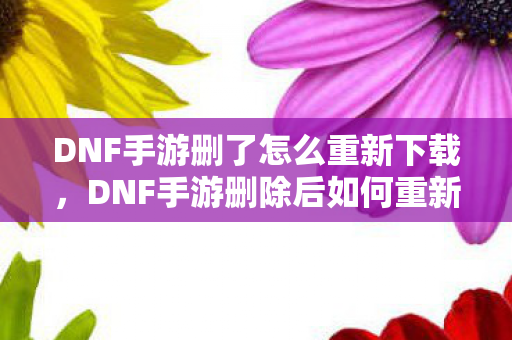 DNF手游删除后如何重新下载图片