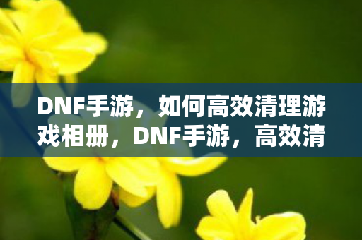 高效清理游戏相册的方法图片