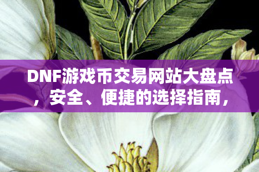 DNF游戏币交易网站安全便捷选择指南图片