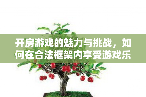 开房游戏的魅力与挑战,如何在合法框架内享受游戏乐趣,开房游戏的魅力与挑战,如何在合法框架内享受游戏乐趣 开房游戏的魅力与挑战,如何在合法框架内享受游戏乐趣,开房游戏的魅力与挑战,如何在合法框架内享受游戏乐趣