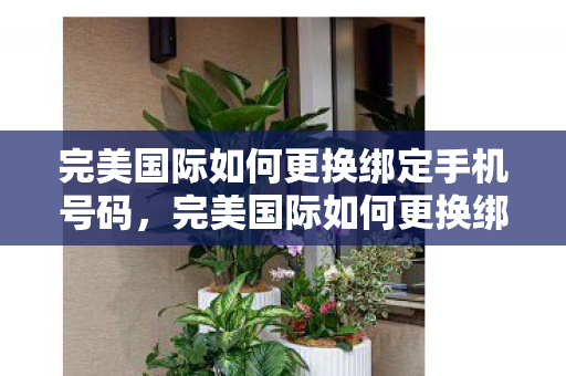 完美国际如何更换绑定手机号码，完美国际如何更换绑定手机号码？详细步骤解析