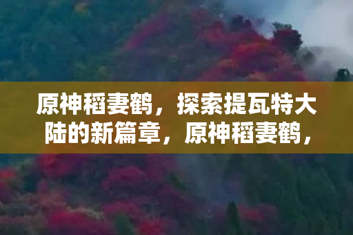 原神稻妻鹤,探索提瓦特大陆的新篇章,原神稻妻鹤,提瓦特大陆新篇章的探索之旅 原神稻妻鹤,探索提瓦特大陆的新篇章,原神稻妻鹤,提瓦特大陆新篇章的探索之旅