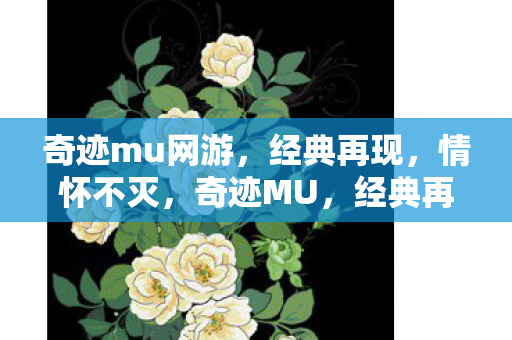 奇迹mu网游图片