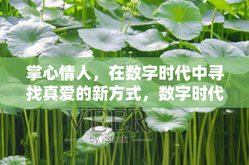 掌心情人,在数字时代中寻找真爱的新方式,数字时代下的掌心情人,寻找真爱的新方式 掌心情人,在数字时代中寻找真爱的新方式,数字时代下的掌心情人,寻找真爱的新方式