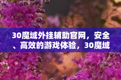 30魔域外挂辅助官网,安全、高效的游戏体验,30魔域外挂辅助官网,打造安全高效的游戏体验 30魔域外挂辅助官网,安全、高效的游戏体验,30魔域外挂辅助官网,打造安全高效的游戏体验