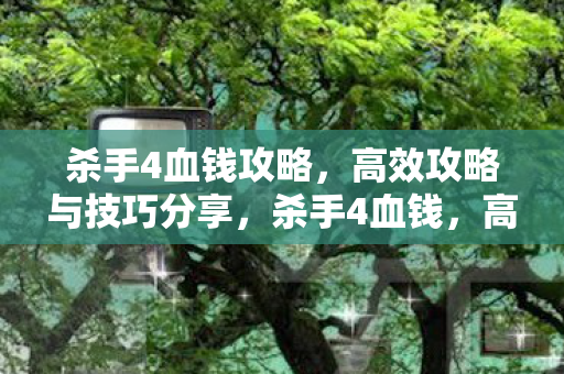 杀手4血钱攻略,高效攻略与技巧分享,杀手4血钱,高效攻略与技巧全分享 杀手4血钱攻略,高效攻略与技巧分享,杀手4血钱,高效攻略与技巧全分享