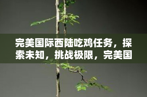 完美国际西陆吃鸡任务图片