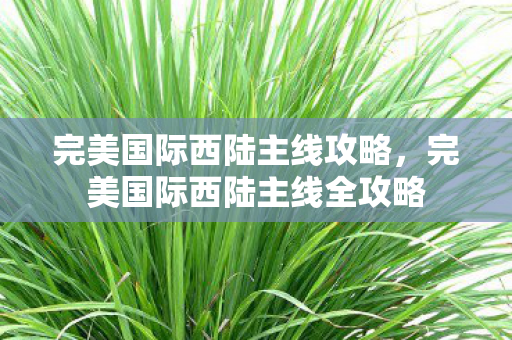 完美国际西陆主线全攻略图片