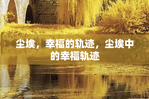 尘埃，幸福的轨迹，尘埃中的幸福轨迹