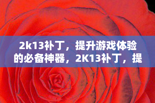 2k13补丁，提升游戏体验的必备神器，2K13补丁，提升游戏体验的必备利器
