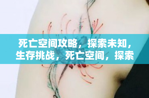 死亡空间攻略，探索未知，生存挑战，死亡空间，探索未知，挑战生存极限